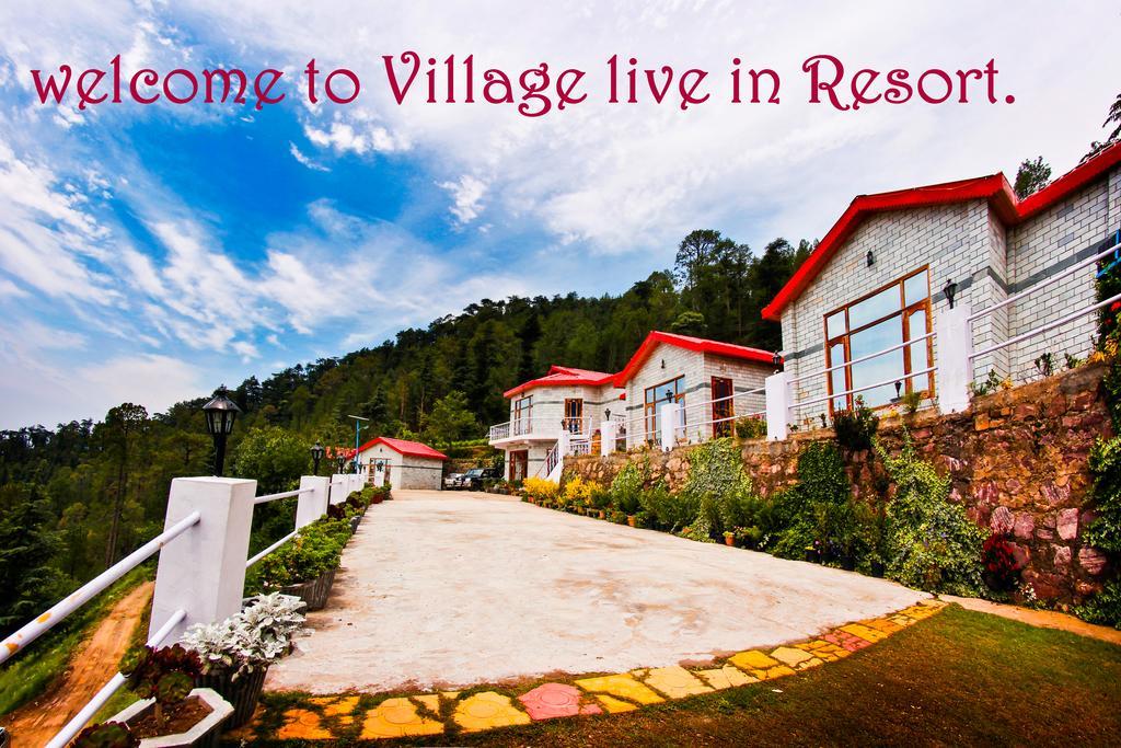 Village Live In Resort Chail Extérieur photo